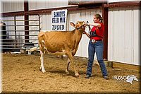LCF13-2798.jpg
