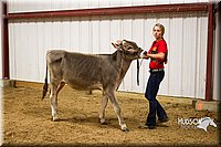 LCF13-2801.jpg