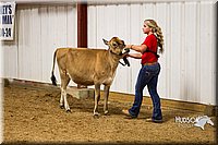LCF13-2806.jpg