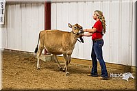 LCF13-2807.jpg