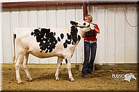 LCF13-2810.jpg
