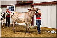LCF13-2811.jpg