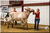LCF13-2812.jpg