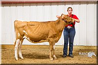 LCF13-2815.jpg