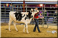 LCF13-2816.jpg