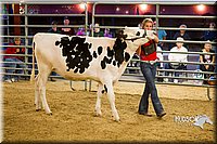 LCF13-2818.jpg