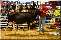 LCF13-2819.jpg