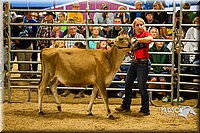 LCF13-2820.jpg