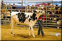 LCF13-2821.jpg
