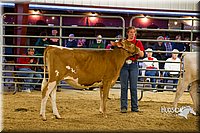 LCF13-2823.jpg