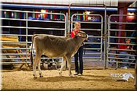 LCF13-2824.jpg