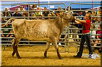 LCF13-2825.jpg