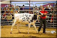 LCF13-2826.jpg
