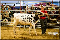 LCF13-2827.jpg