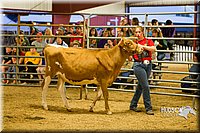 LCF13-2828.jpg