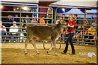 LCF13-2829.jpg