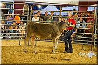 LCF13-2830.jpg