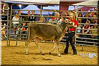 LCF13-2831.jpg
