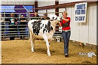 LCF13-2833.jpg