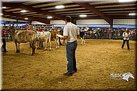 LCF13-2834.jpg