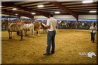 LCF13-2835.jpg