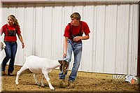 LCF13-2838.jpg