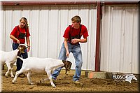 LCF13-2839.jpg
