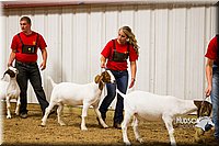 LCF13-2840.jpg
