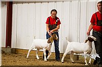LCF13-2842.jpg