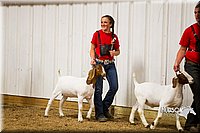 LCF13-2843.jpg