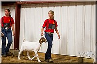 LCF13-2844.jpg