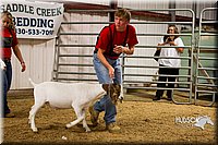 LCF13-2846.jpg