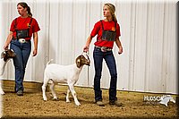 LCF13-2847.jpg