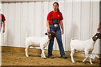 LCF13-2848.jpg