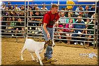 LCF13-2851.jpg