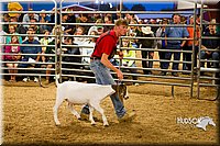 LCF13-2852.jpg