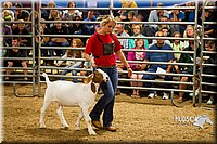 LCF13-2853.jpg