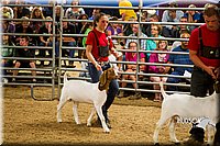 LCF13-2855.jpg