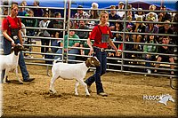 LCF13-2856.jpg