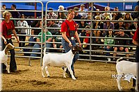 LCF13-2857.jpg