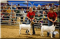 LCF13-2858.jpg