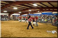 LCF13-2860.jpg