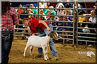 LCF13-2862.jpg