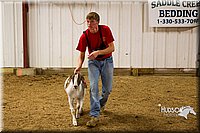 LCF13-2864.jpg