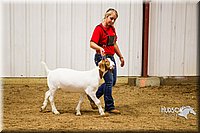 LCF13-2865.jpg