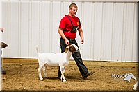 LCF13-2866.jpg