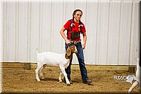 LCF13-2867.jpg