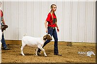 LCF13-2868.jpg