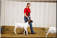 LCF13-2869.jpg