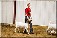 LCF13-2870.jpg